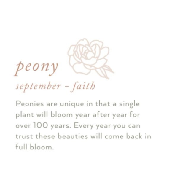 September Peony Birth Flower Bohemian Necklace - Picture 6 of 13